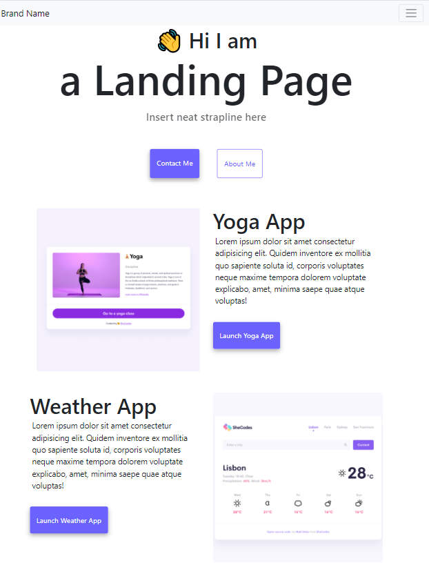 Preview of Portfolio project